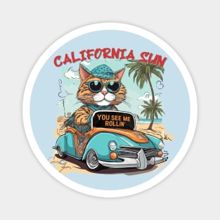 california sun Magnet